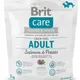 Brit Care Grain-free Adult Salmon&Potato 1kg