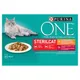 PURINA ONE Multipack Sterilcat mini filetky s kuracím a zelenými fazuľkami / s hovädzím a mrkvou v šťave 12(4x85g)