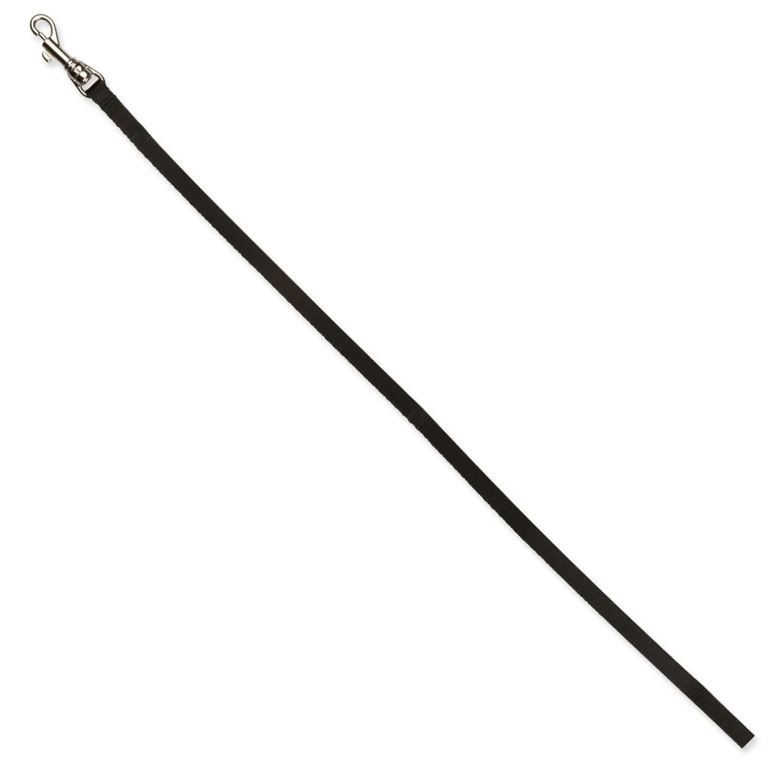 Set postroj a vodítko pre mačatá a malé mačky, nylon