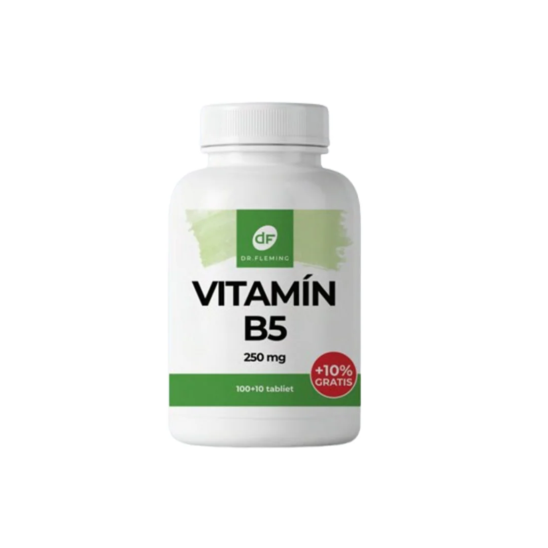 DR. FLEMING Vitamin B5 250mg +10% gratis 110ks