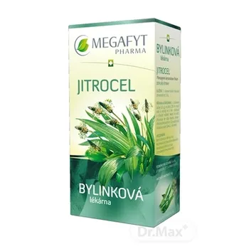 MEGAFYT Bylinková lekáreň SKOROCEL 20×1,5 g, bylinný čaj