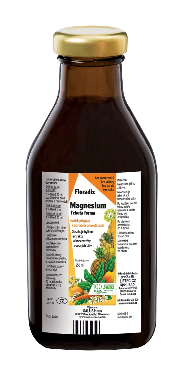 SALUS Floradix Magnesium 1×250 ml, tekutá forma