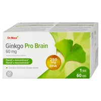 Dr. Max Ginkgo Pro Brain