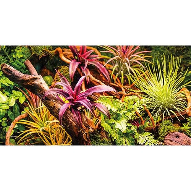 HOBBY Pozadie obojstranné Jungle / Strangler Fig 50cm x 25m