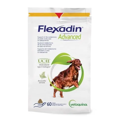 FLEXADIN ADVANCED NEW A.U.V. 1×60tbl, doplnok krmiva pre psy