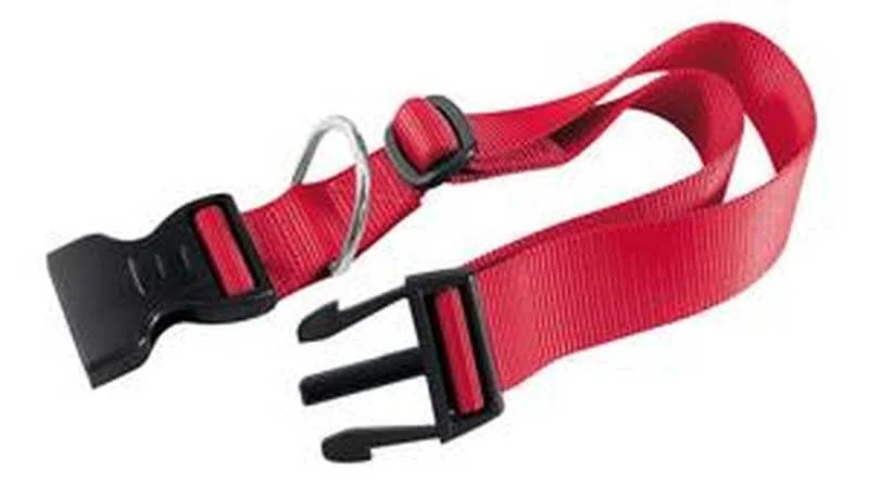 Ferplast Obojok Club Červ 4×70cm 1×1 ks