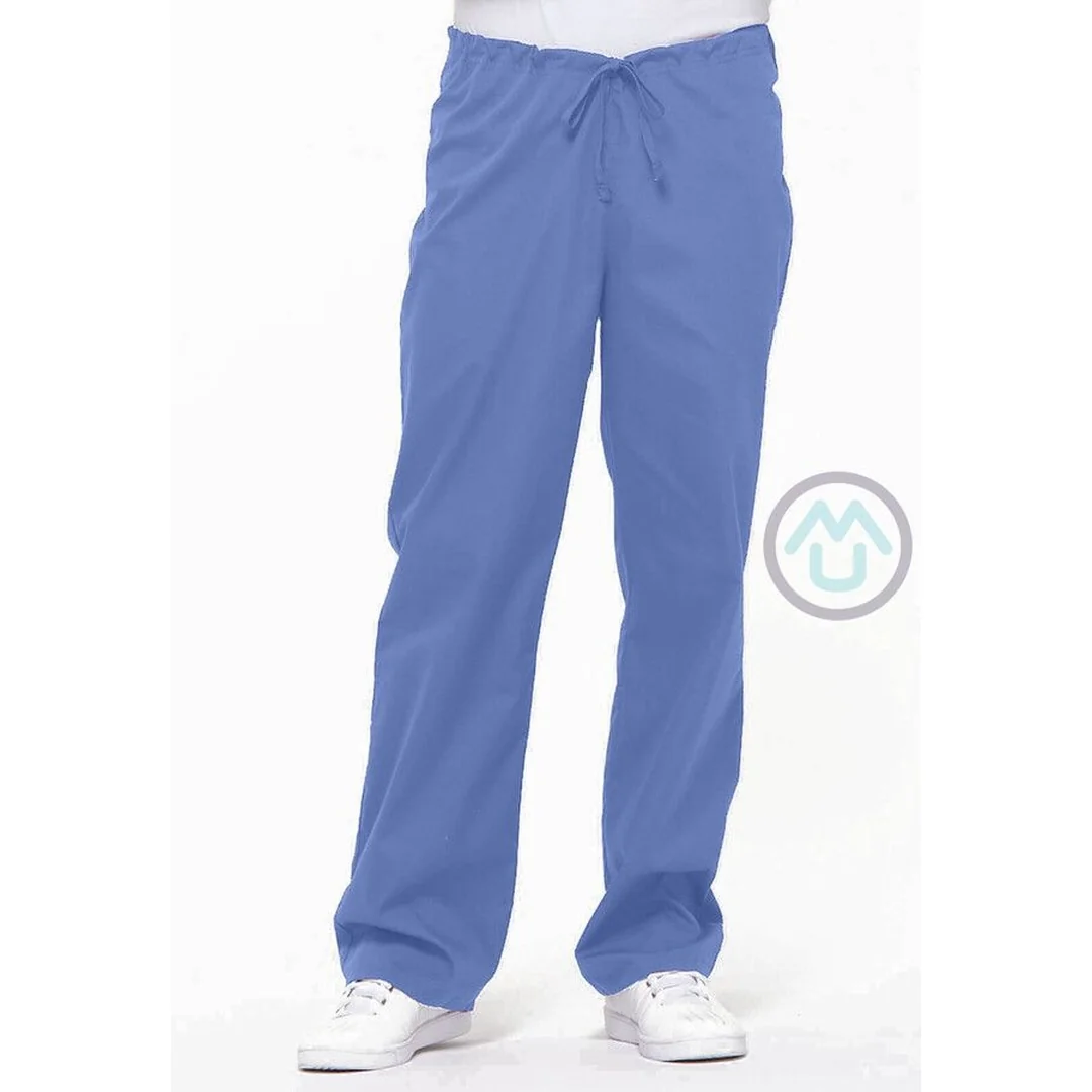 Unisex nohavice Dickies - nebeská modrá XS