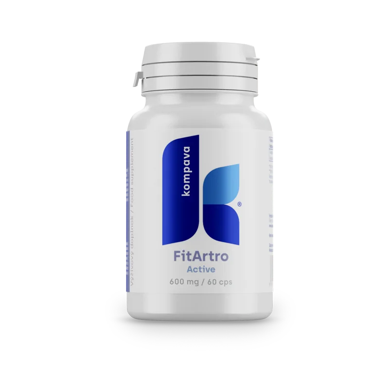 Fit artro aktiv 600mg 60 kapsúl
