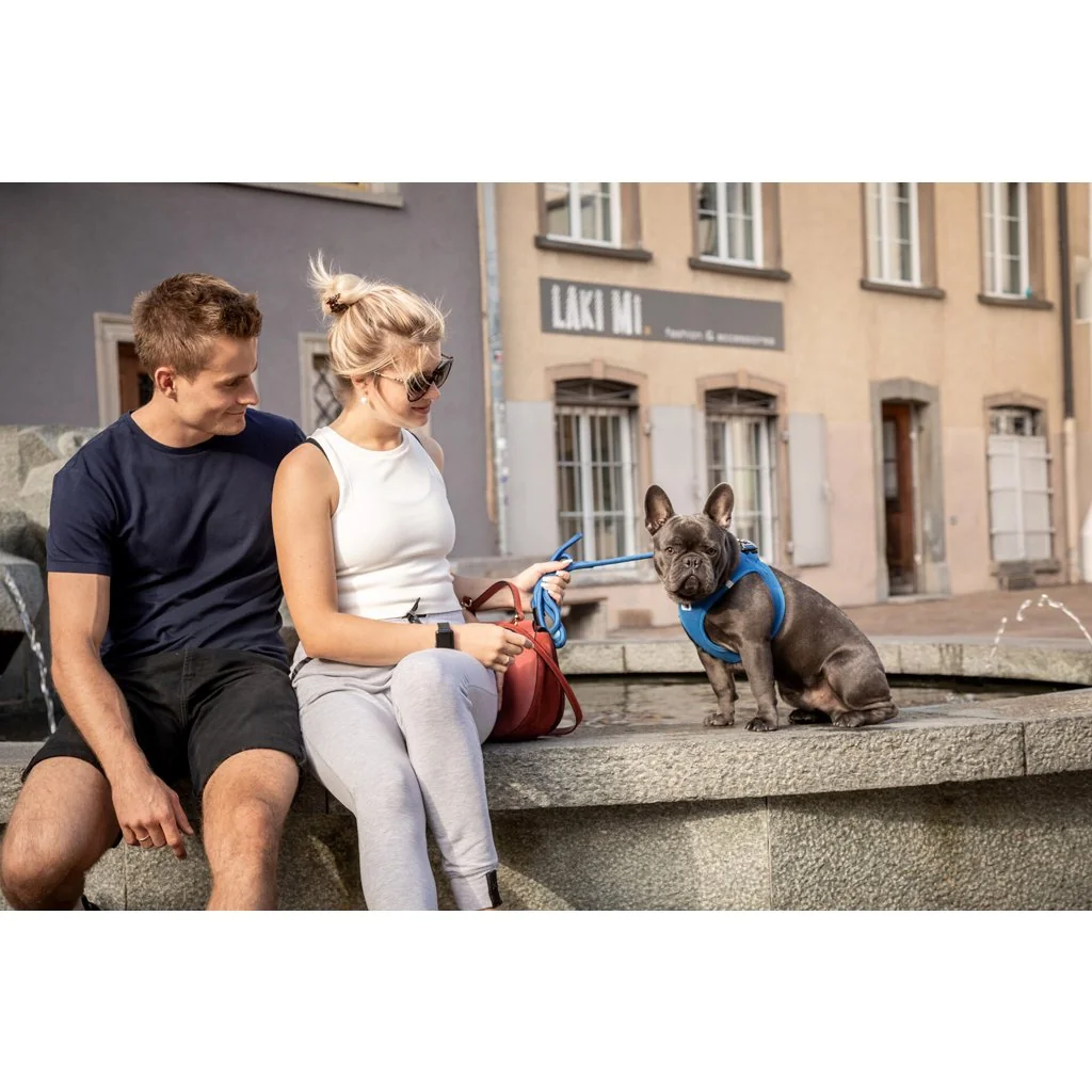 Vodítko pre psov Comfort Blue L
