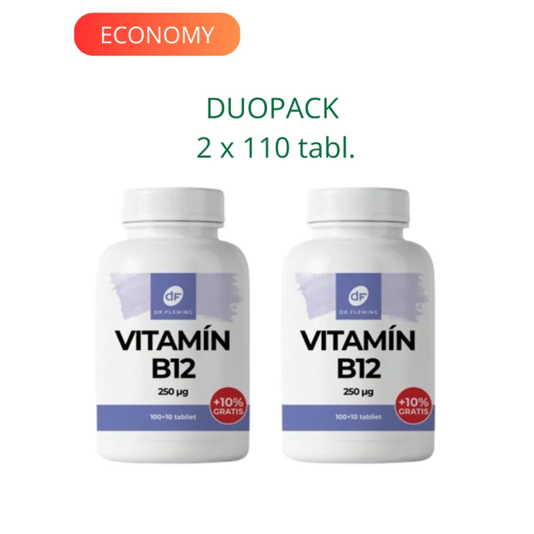DR. FLEMING Vitamin B12 250µg +10% gratis 2x110ks DUOPACK