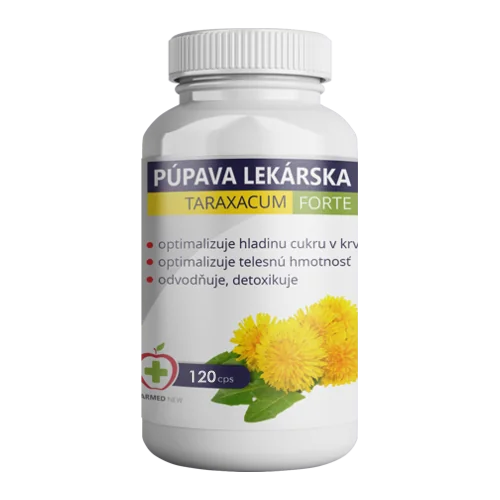 Taraxacum púpava lekárska 120 tbl