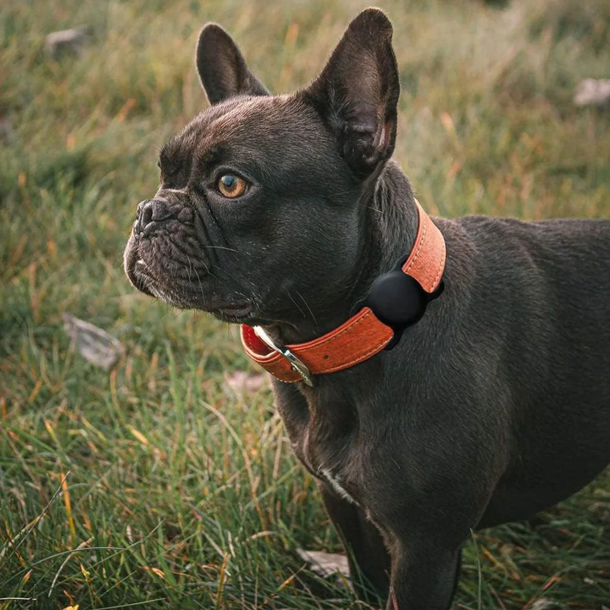 MG Collar kryt na Apple AirTag na psí obojok, čierny