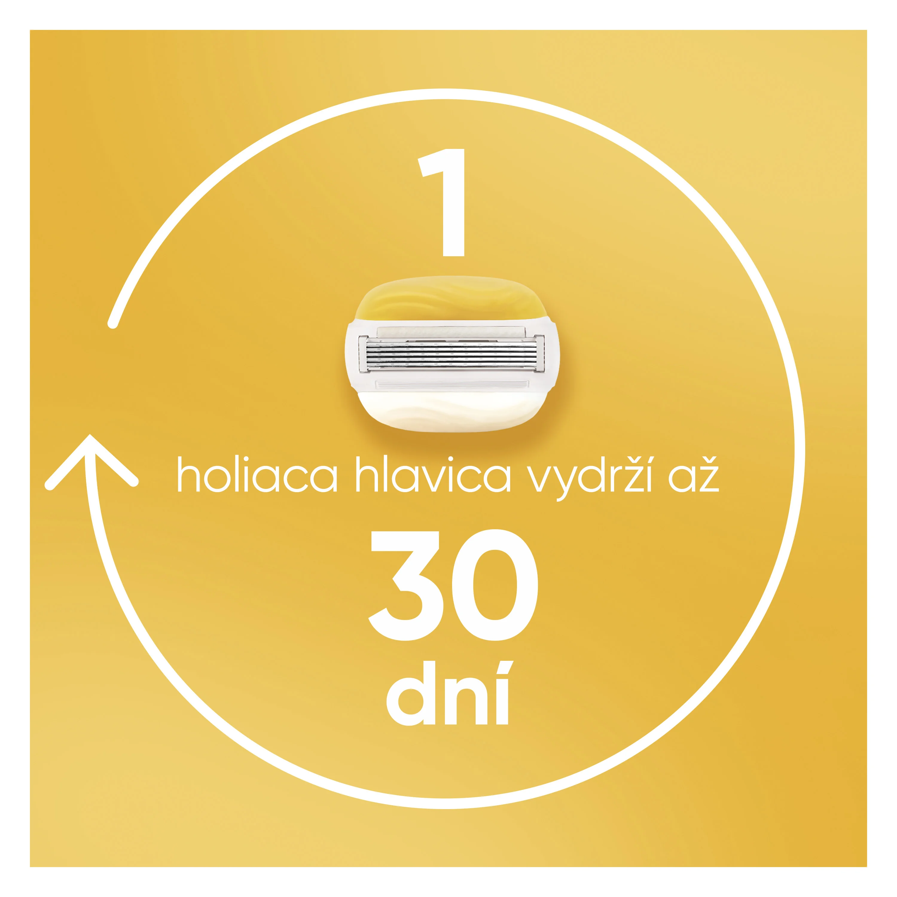 Gillette Venus Comfortglide Coconut náhradné holiace hlavice 3 ks