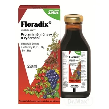 SALUS Floradix 1×250 ml, bylinný sirup