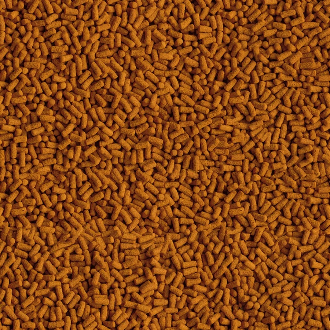 Krmivo Tetra Pond Koi Stick Color-Growth 1l