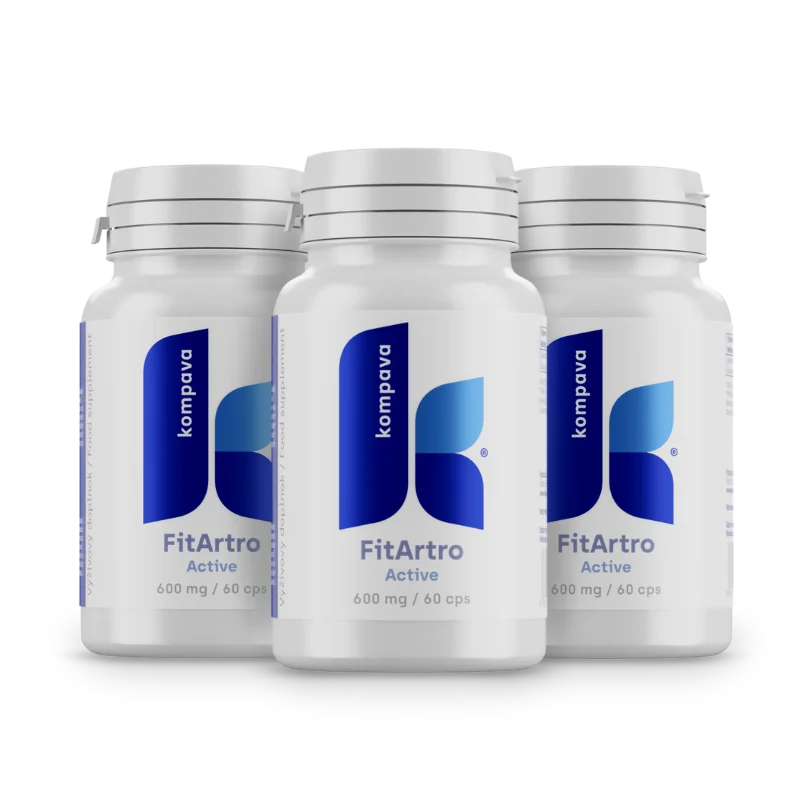 Fit artro aktiv 600mg 60 kapsúl