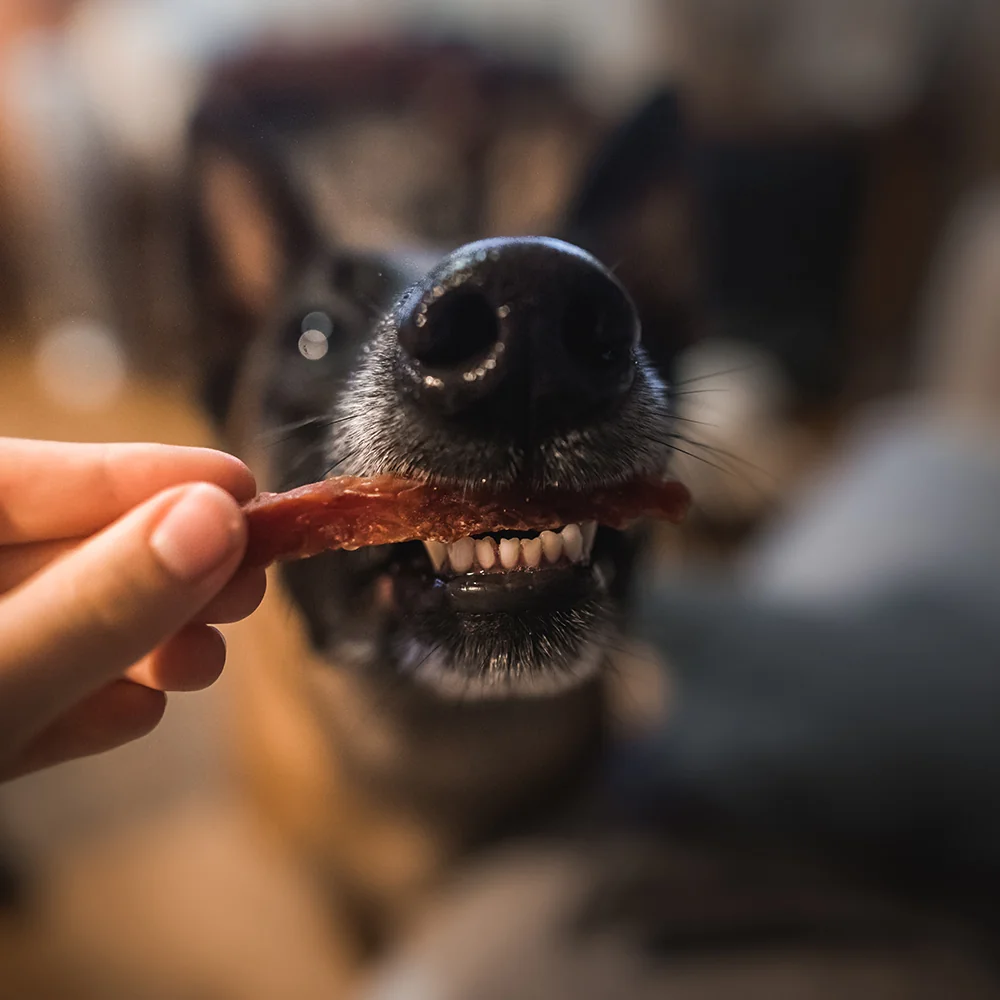 Akinu BITES & FUN Pochúťka z kačacích pŕs pre psy 10 x 85 g