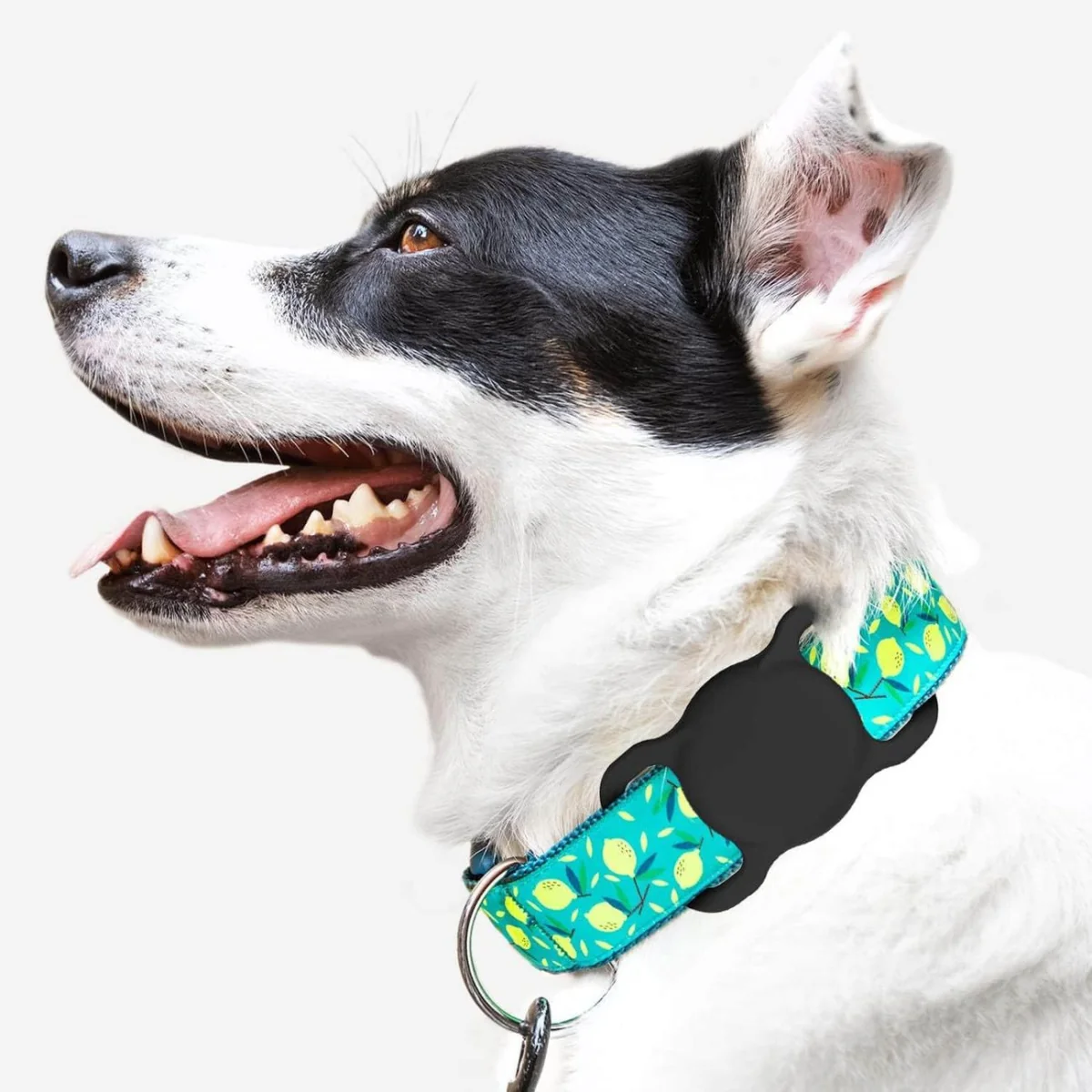 MG Collar kryt na Apple AirTag na psí obojok, čierny