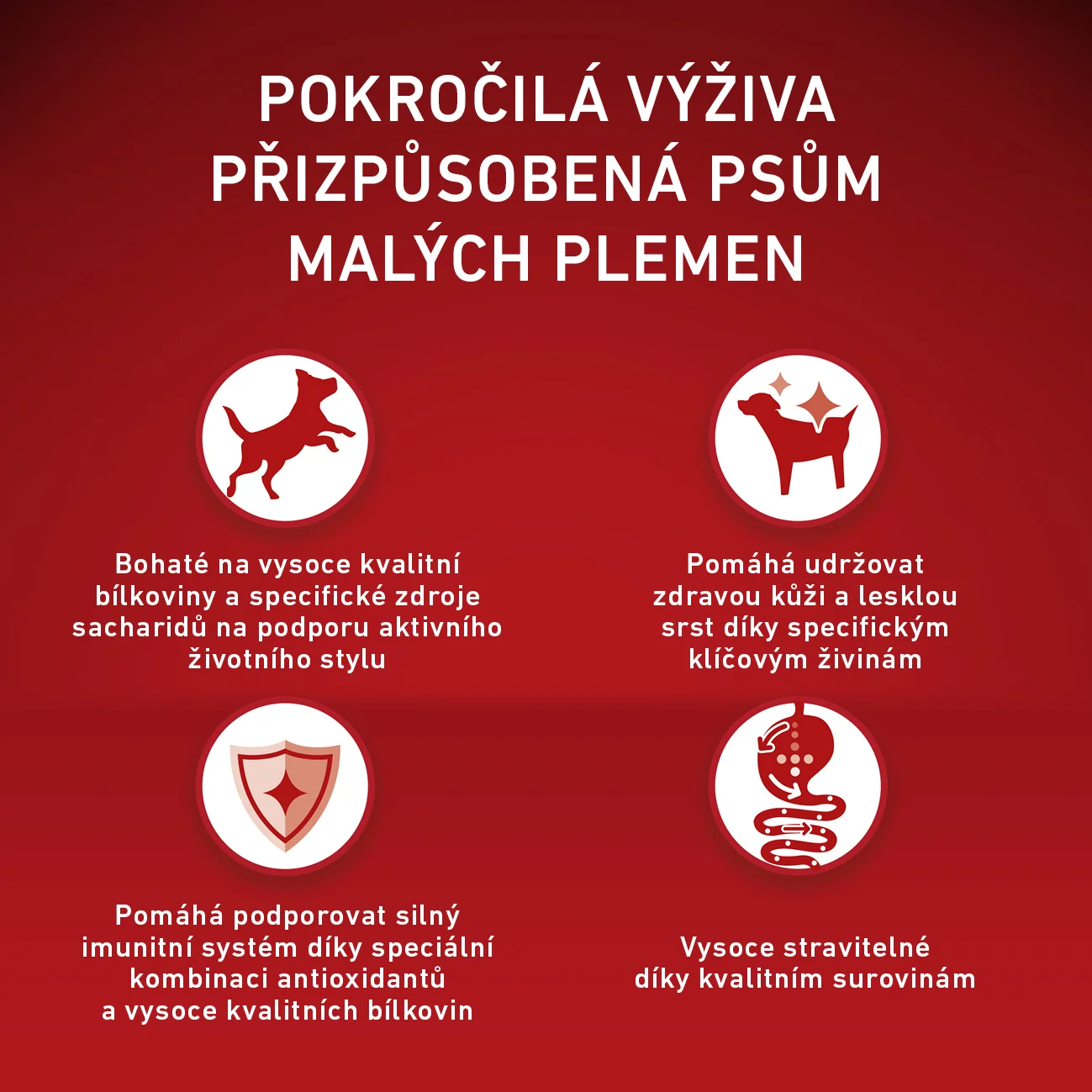 Purina ONE Mini Active granule pre psov kura 800 g 1×800 g, kompletné krmivo pre dospelých psov