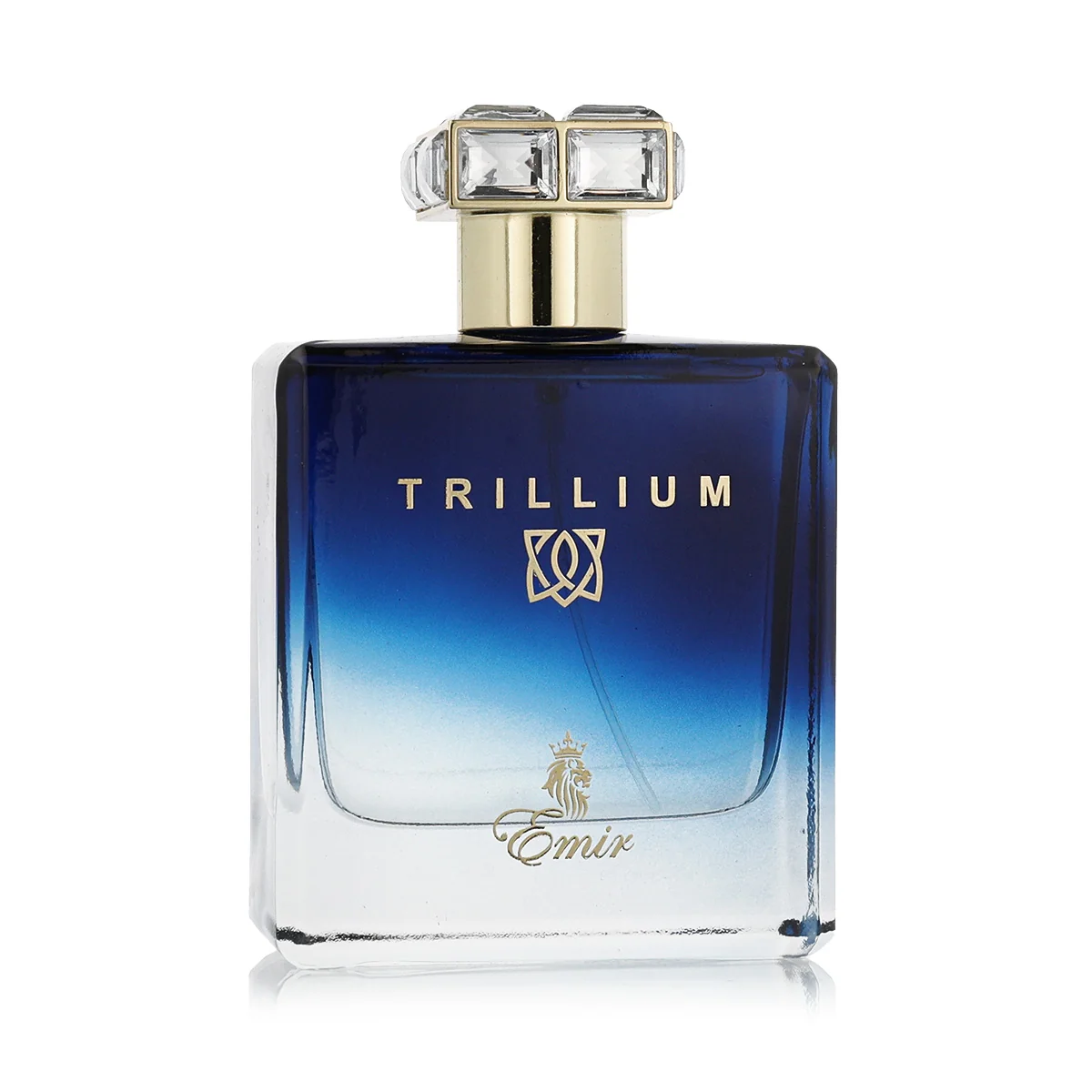 Emir Trillium EDP 100 ml M 