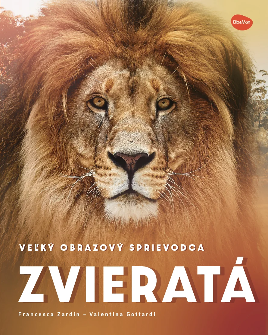 ELLA&MAX Veľký obrazový sprievodca Zvieratá