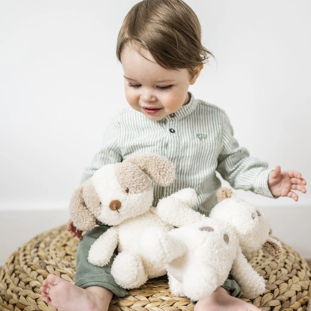 Hračka plyšová Teddy psík 24 cm, 0m+
