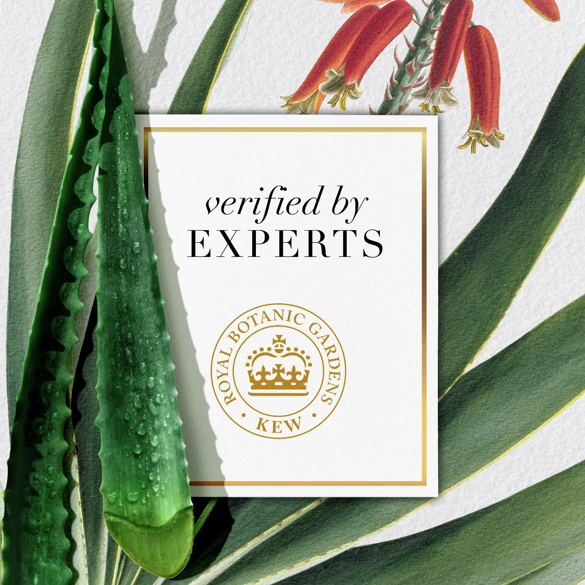 Herbal Essences Bio:renew Kondicionér bez sulfátov Potent aloe&hemp 1×275ml, kondicionér na vlasy