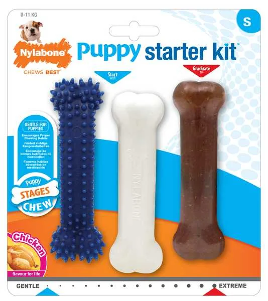 Nylabone Healthy Edibles Puppy Starter Kit S 1×3 ks, hračka pre psy