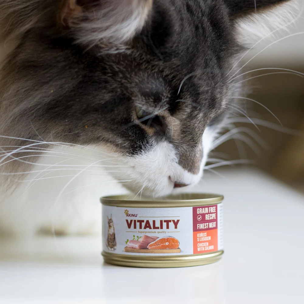Akinu VITALITY Kuracie mäso a losos v konzerve pre mačky 10 x 70 g