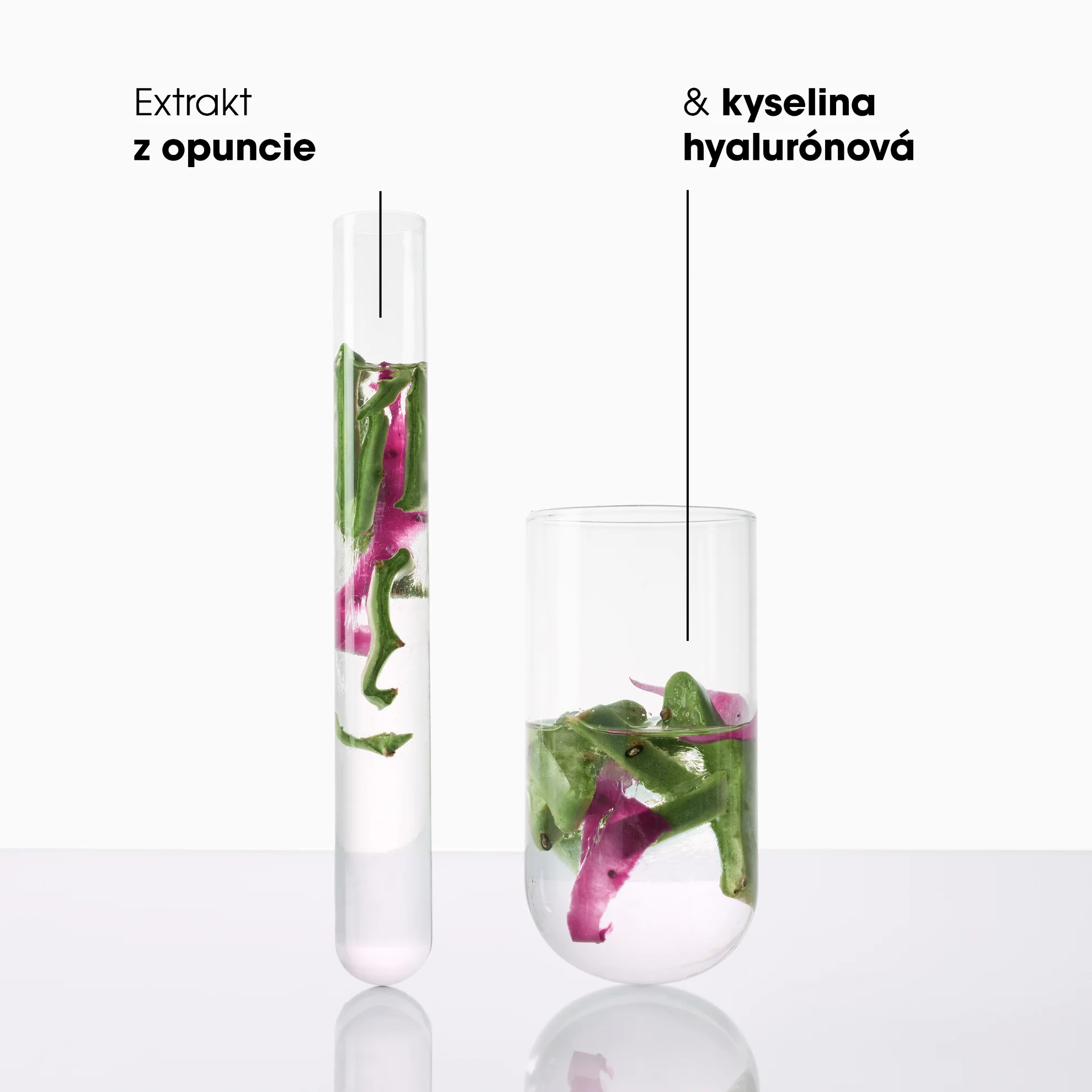 KLORANE Hydratačné SÉRUM na vlasy 100 ml