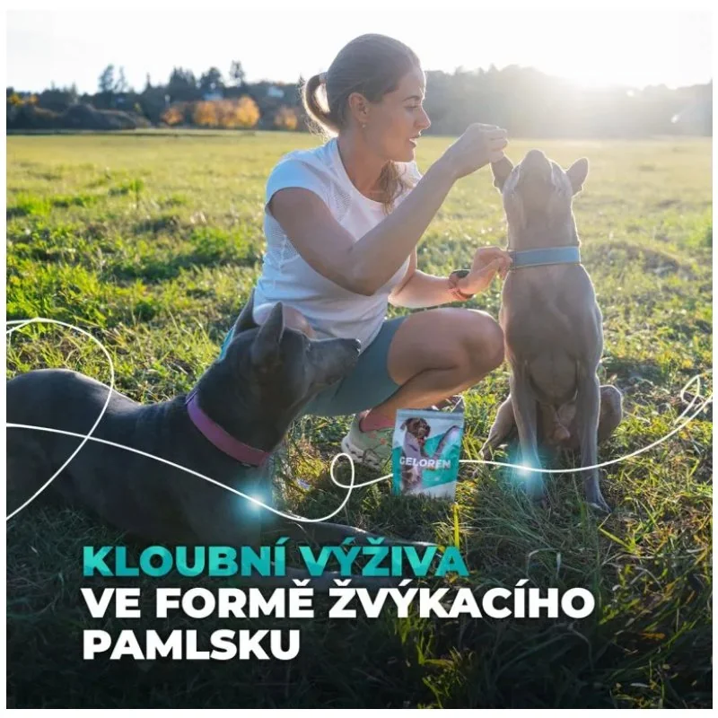 Kolagén pre malé a stredné psy 180 g, pečeňová