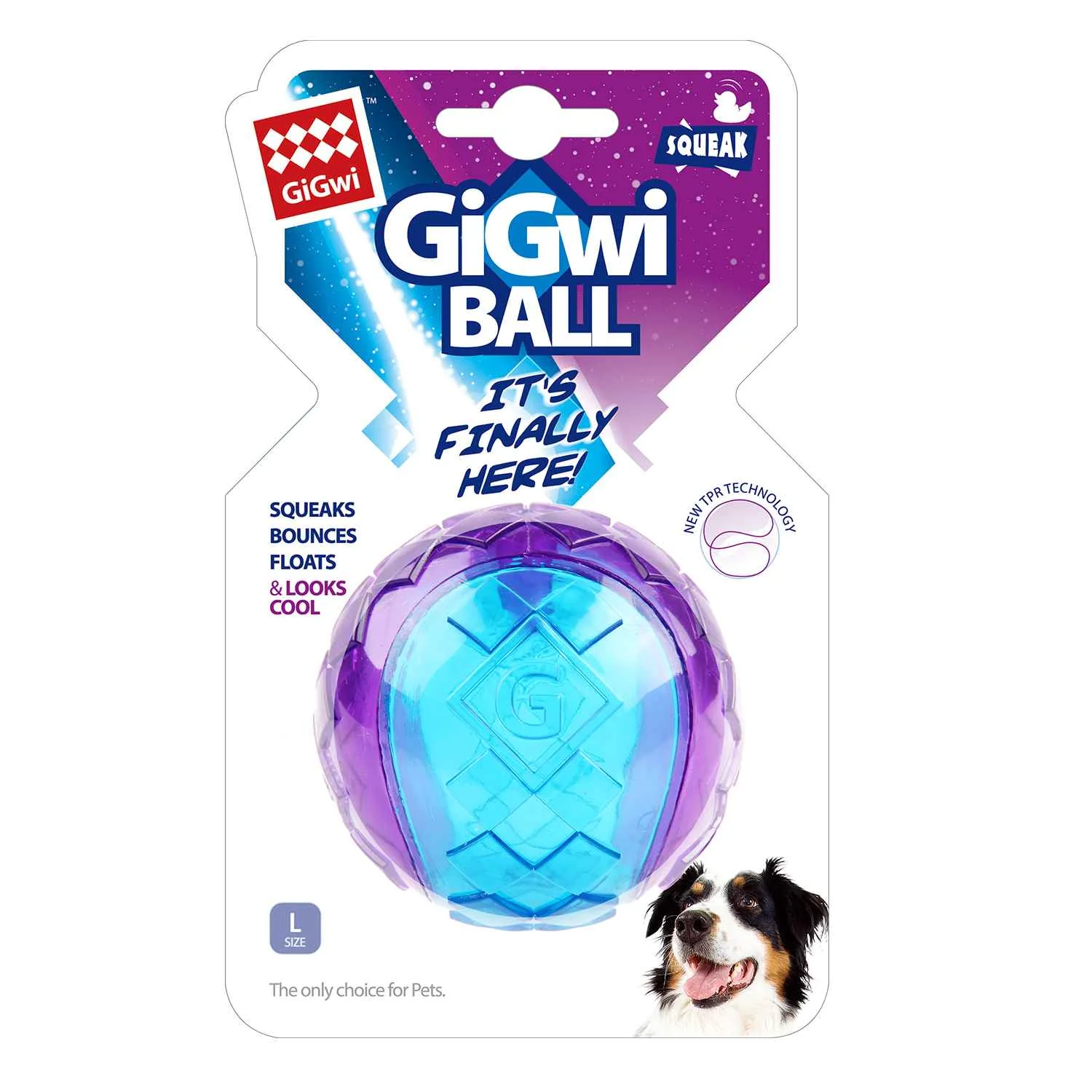 GiGwi Gigwi Loptička pevná fialová / modrá. Veľkosť L 1×1 ks