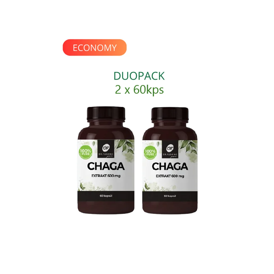 DR. FLEMING Chaga extrakt 600 mg 40% 120ks DUOPACK
