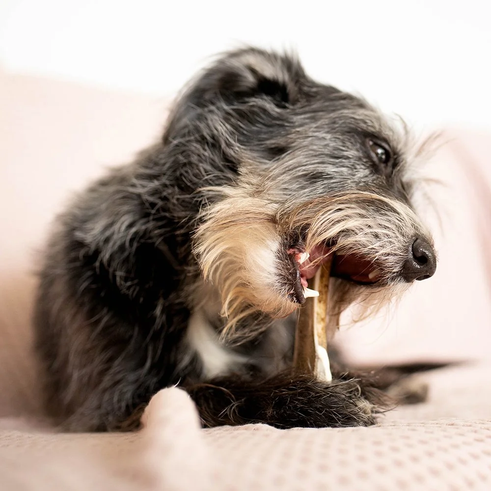 Žuvací jelení paroh S mäkký