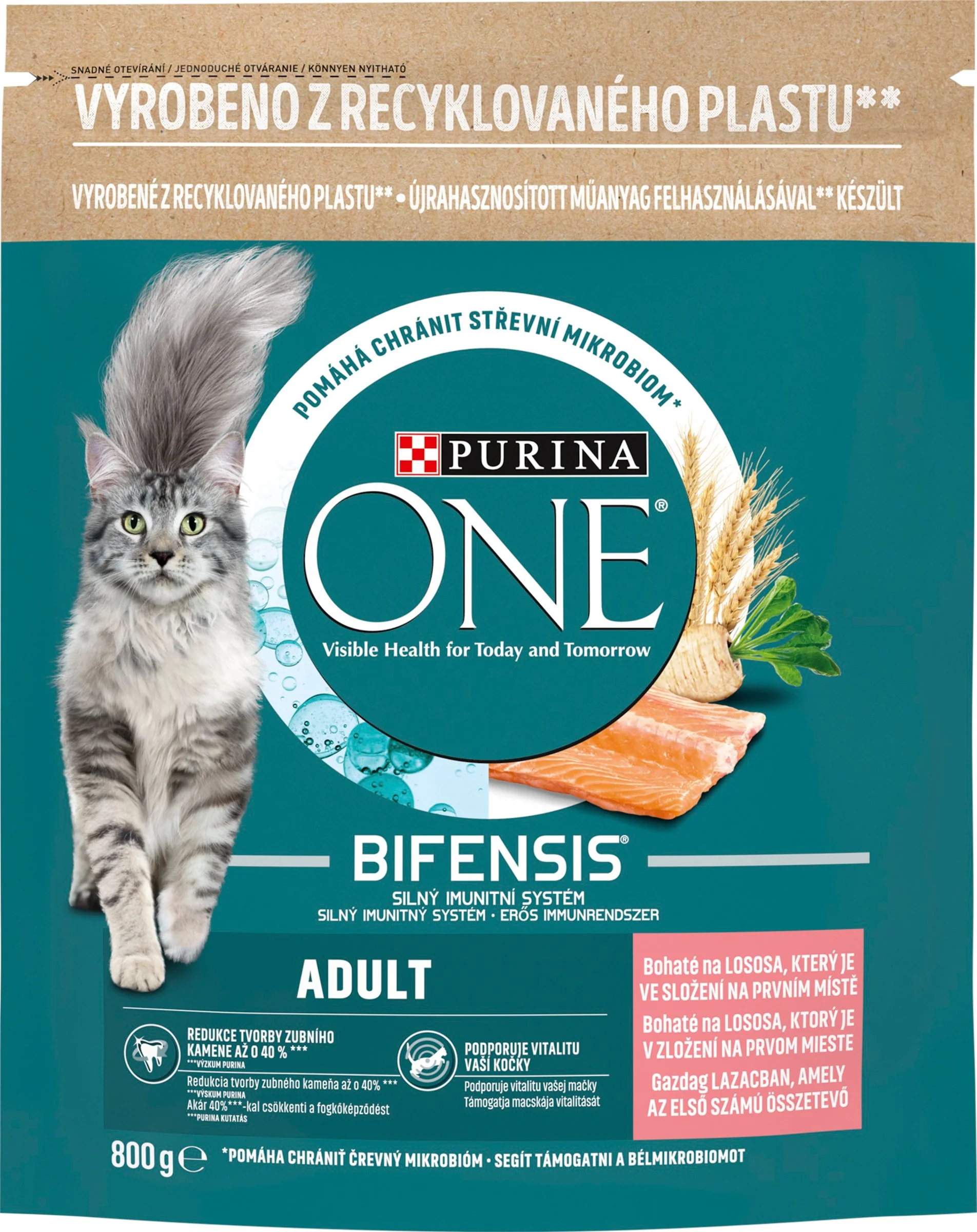 Purina ONE 800g Adult s lososom a celozrnnými obilninami 1×800 g, kompletné krmivo pre dospelé mačky