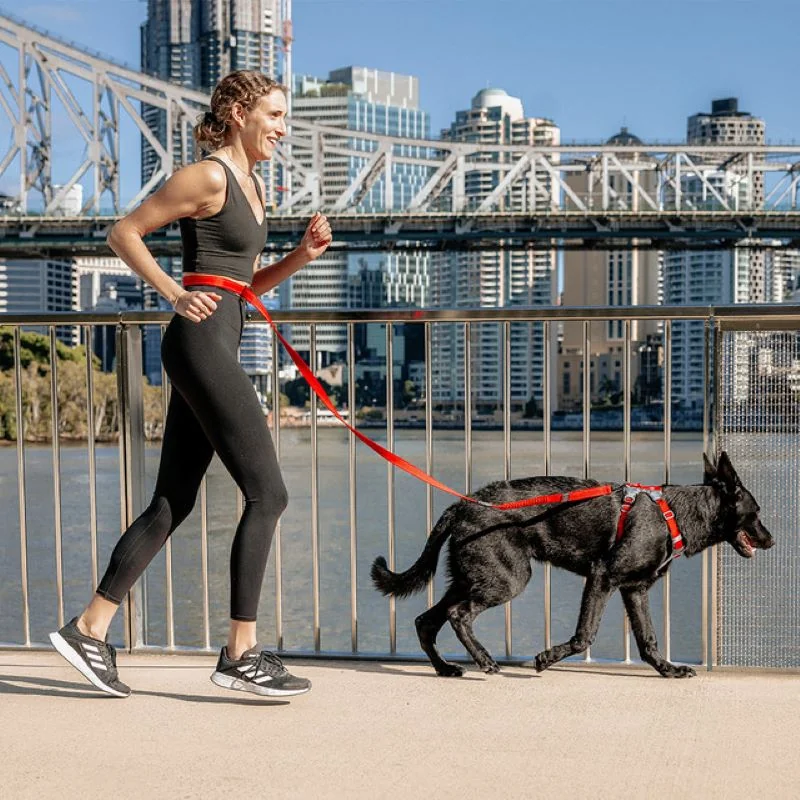 EZYDOG VODÍTKO ROAD RUNNER LEASH™ - BLUE