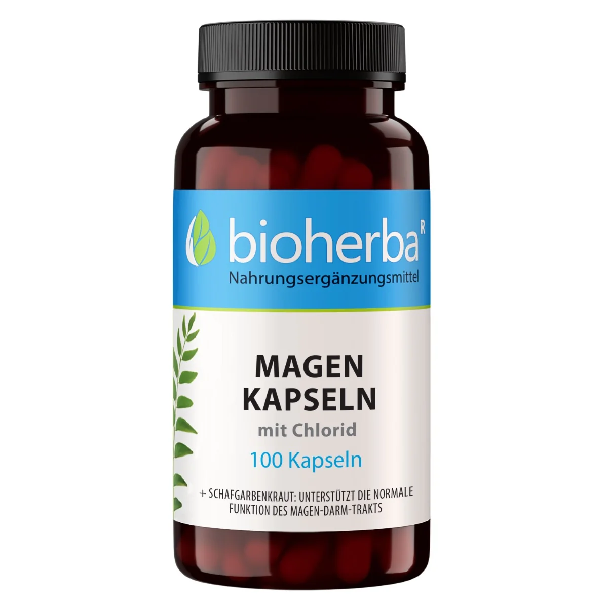Žalúdok – 100 kapsúl – Bioherba