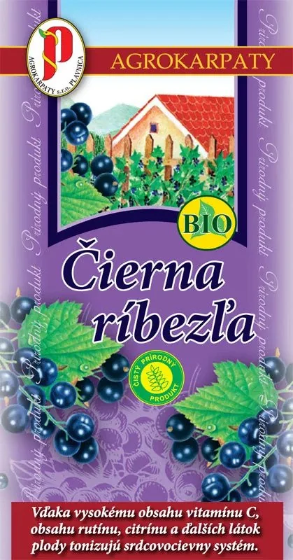 RIBEZLA čierna NS AG 2×20g, ovocný čaj