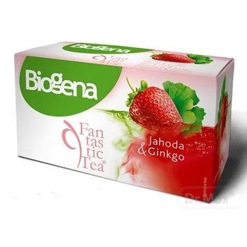 Biogena Fantastic Tea Jahoda & Ginkgo 20×2 g, bylinný čaj