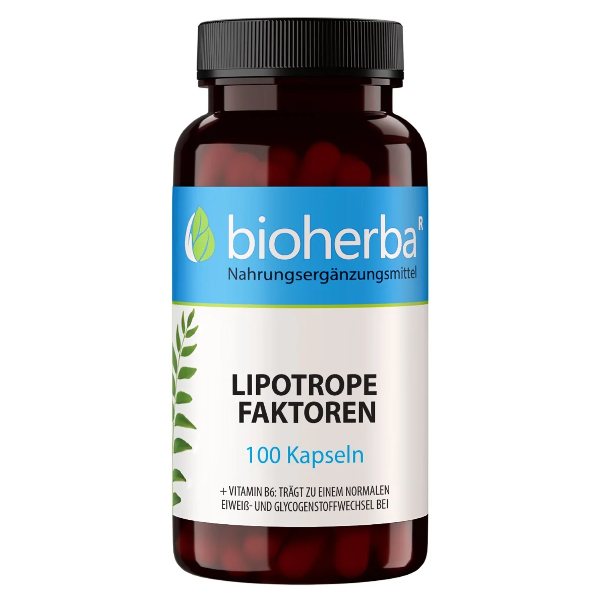 Lipotropné faktory – 100 kapsúl – Bioherba
