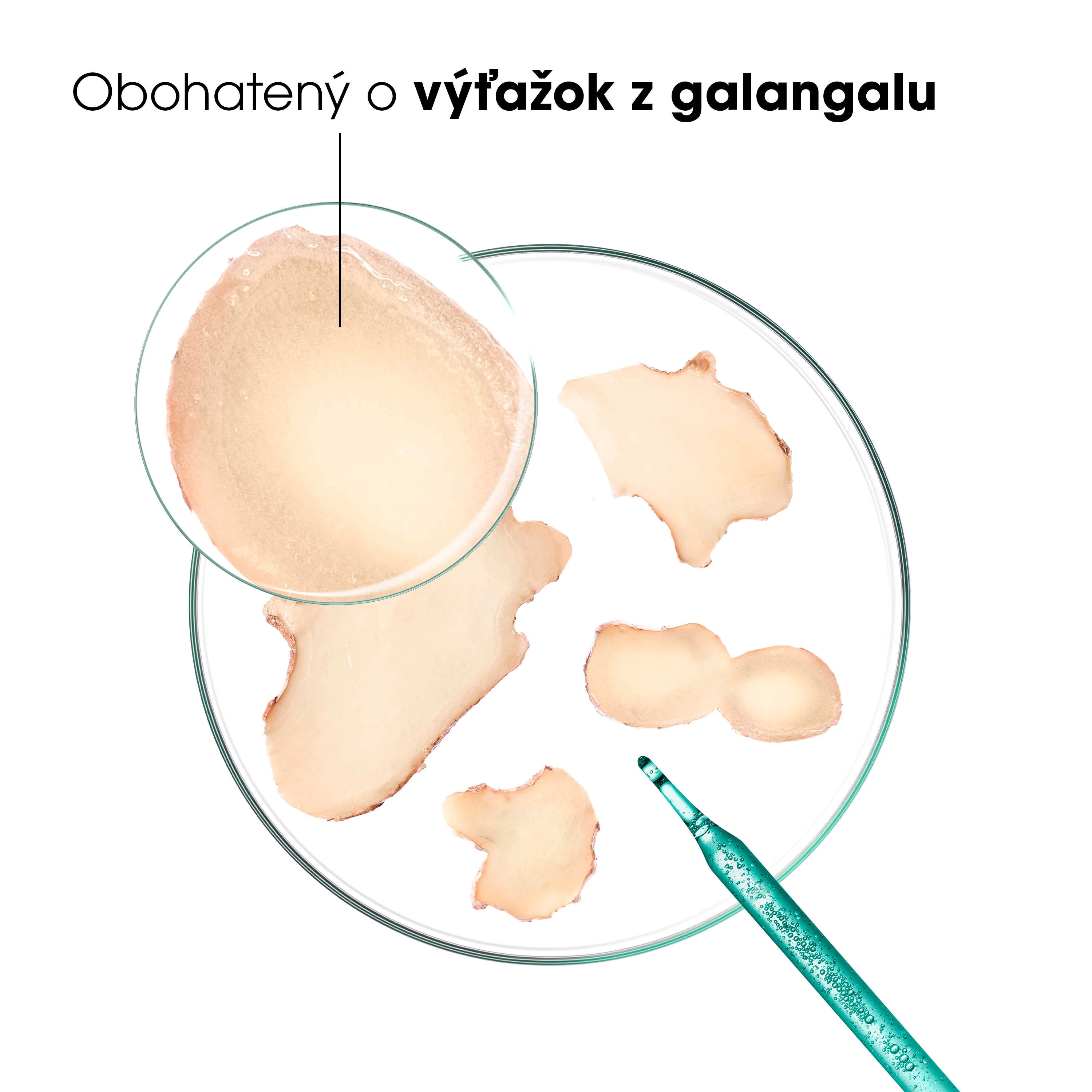 KLORANE ŠAMPÓN proti lupinám s galangalom 400 ml