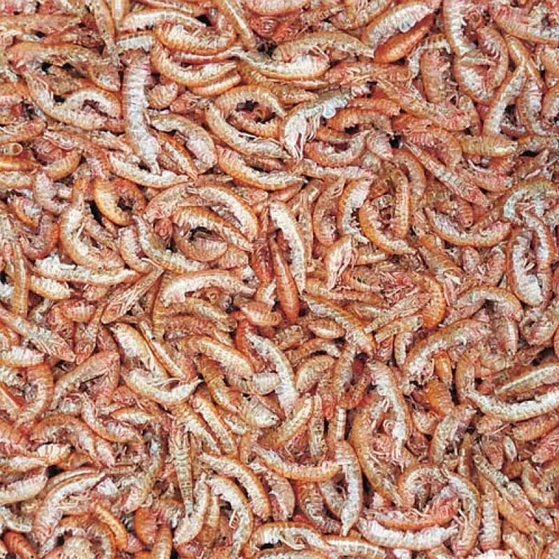TROPICAL Gammarus 1000ml/120g prírodné krmivo 