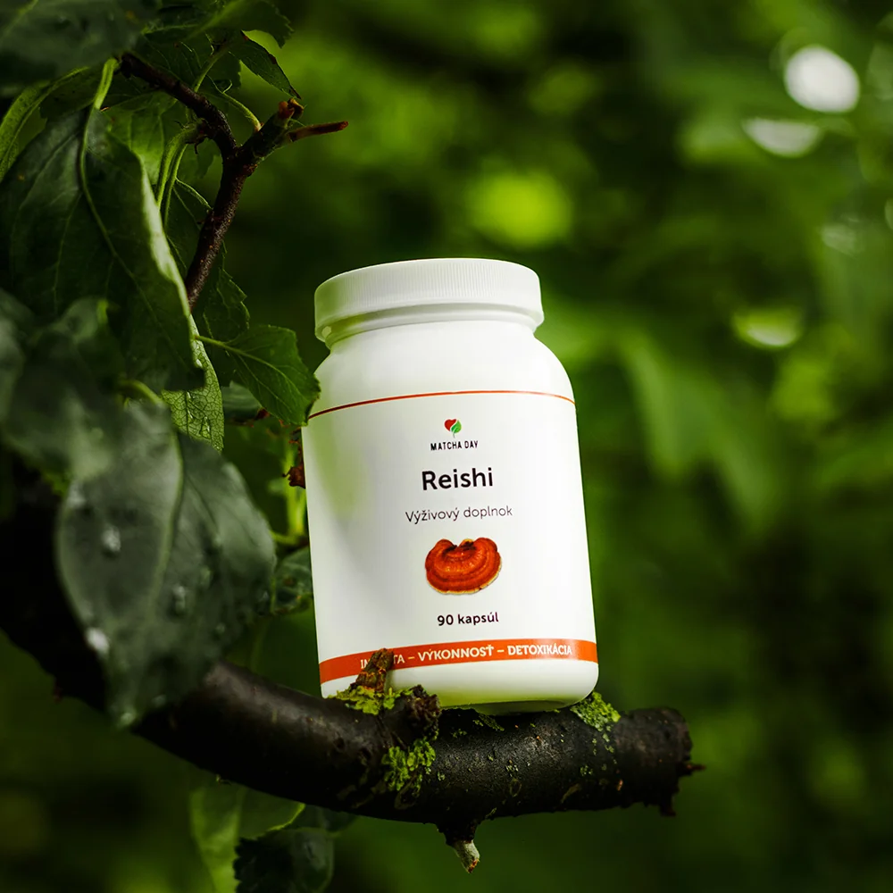 MatchaDay - Reishi extrakt 90 kapsúl 1x 90 cps Reishi, výživový doplnok