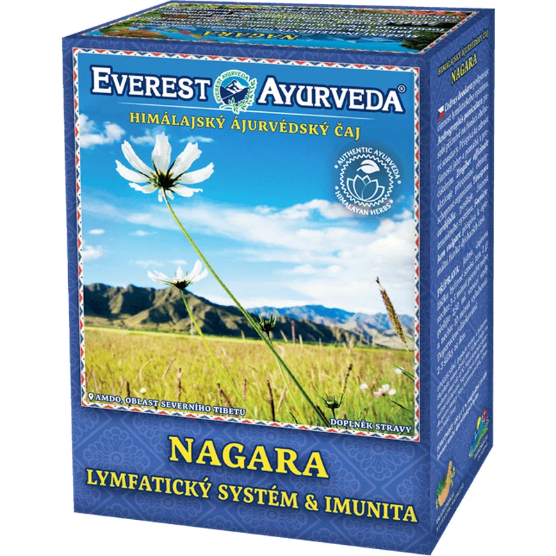Ajurvédsky čaj Nagara (2×100g) DUO pack 1+1