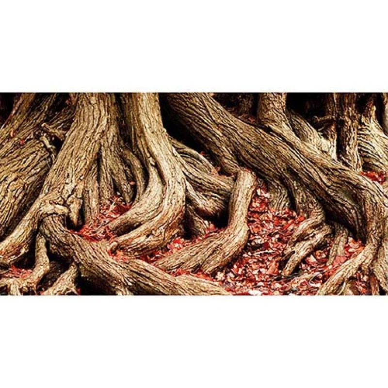HOBBY Pozadie obojstranné Jungle / Strangler Fig 50cm x 25m