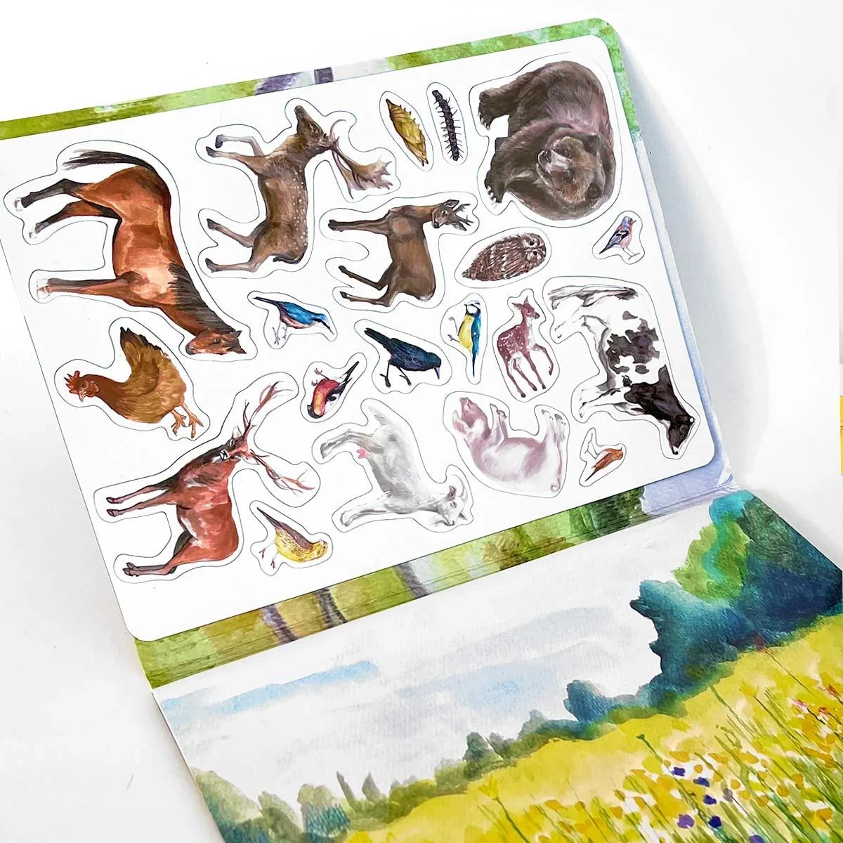 MAGBOOK - magnetická knižka - zvieratá, príroda 
