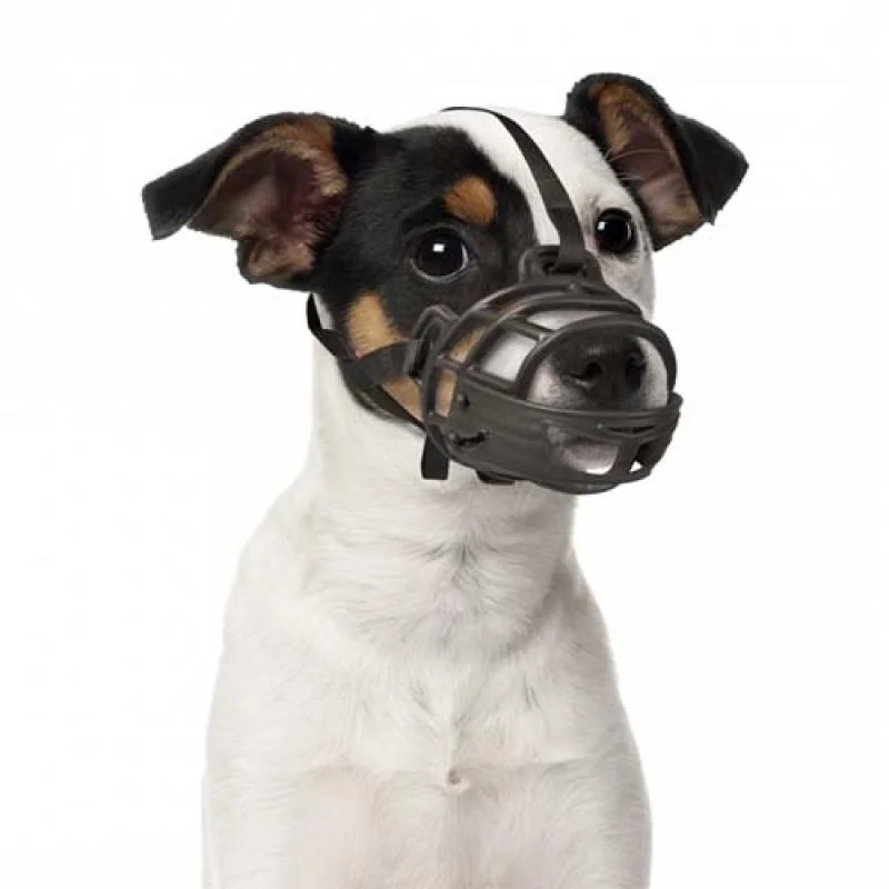DUVO+ Plastový náhubok XS: Jack Russell, Yorkshire, Terrier, Jazvečík, Maltese