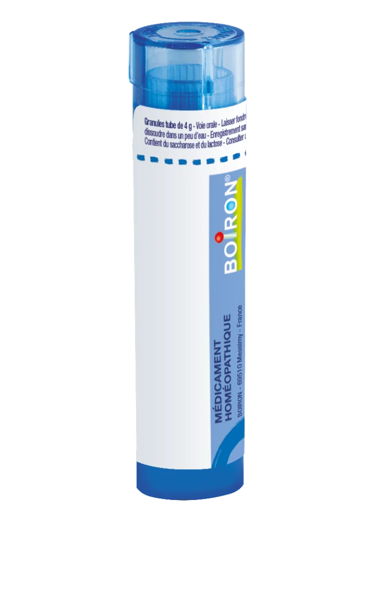HEKLA LAVA GRA HOM CH9 1x4 g