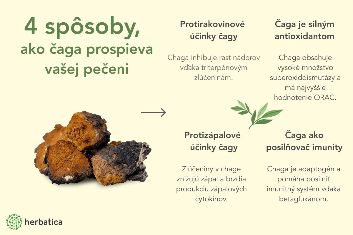 Čaga sibírska - 60 vegánskych kapsúl (300mg/ kapsula) - Herbatica