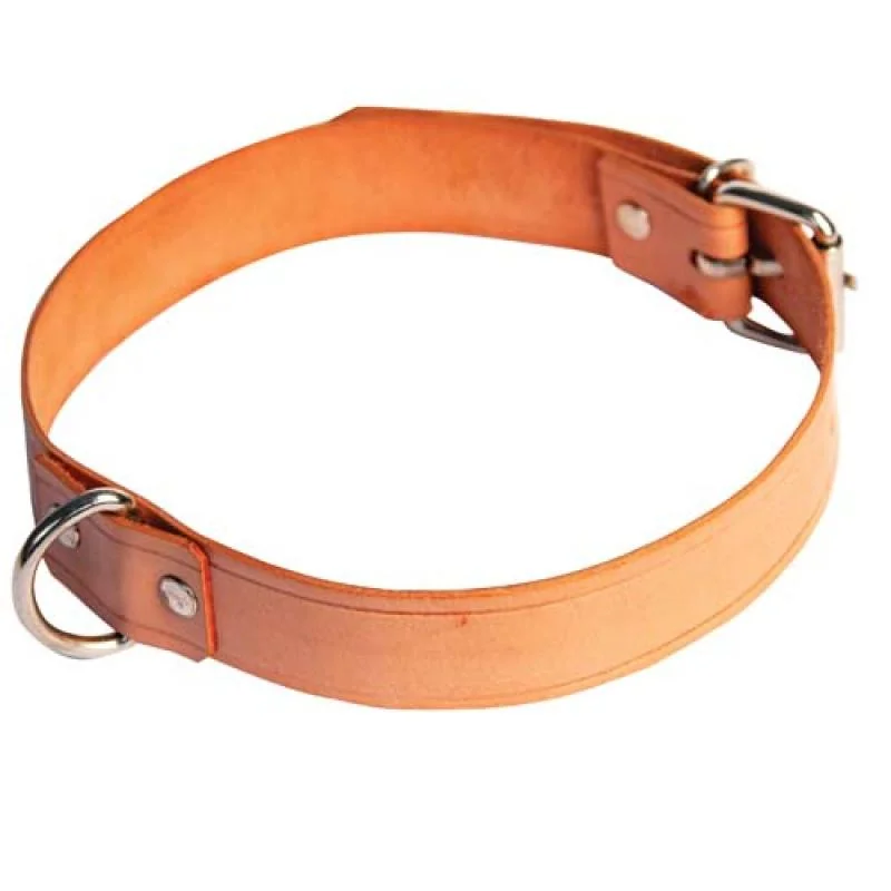 COBBYS PET Obojok  z pravej kože 55cm/25mm prírodná hnedá